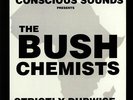 BUSH CHEMISTS, The - Strictly Dubwise (reissue) - Vinyl (heavyweight vinyl LP)
