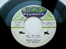 NORMAN FOX AND THE ROB ROYS - TELL ME WHY - -NEAR MINT NM  45 rpm RECORD