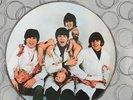 The Beatles,  Yesterday and Today, Butcher, Picture Disc