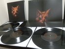 BLACK VINYL - Swans - The Seer (2012, Young God Records)