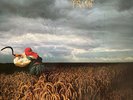 Depeche Mode A Broken Frame - Signed