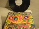 The Savage Resurrection LP PROMO SR-61156 Mercury Rare US PSYCH Excellent