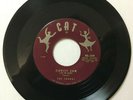 The CHORDS Zippity Zum Bless You Cat 45-109 VG+ Degritter