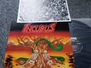 INCUBUS SERPENT TEMPTATION 1ST PRESS 1988 SARCOFAGO SLAYER MAYHEM  LP NM