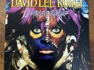 DAVID LEE ROTH(Van Halen)Sonrisa Salvaje VINYL LP promo US record'86 album Lp