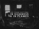The Front Bottoms In Sickness & In Flames - Vinyl (New)