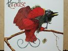PARADISE - S/T 1980 UK EBONY ORIG LP  Superb Gospel Funk Soul GEM NM