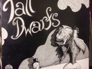 Tall Dwarfs That's the Short & Long FLYING NUN Lp w/ book Art Punk Chris Knox 45