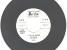 DOO WOP 45 - Turbans on Herald 478 - B-I-N-G-O / I'm Nobody's - DJ COPY