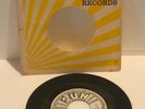 Randy and the Radiants, Peek-A-Boo/Mountain's High, 45 Record, Sun label