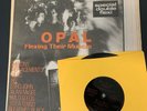 Vtg The Bob Rock Magazine & Flexi 45 Dream Syndicate Kendra Smith Opal