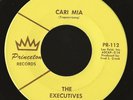 michigan teen garage EXECUTIVES Cari Mia Angel ? Princeton Records French Church