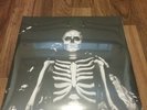 The Maine Forever Halloween  PILLAR EXCLUSIVE Cloudy Orange Vinyl LP New Emo Pop