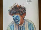 Hobo Johnson - The Fall Of Hobo Johnson Vinyl LP (Limited, White Colored)