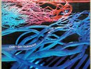 HAIRY CHAPTER - can`t get through German first press - Bacillus - 1971 - LP - M-