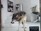 Grinderman 2 LP + poster (Nick Cave) Ex.