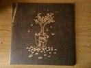Black Moth Super Rainbow - The Autumn Kaleidoscope Got Changed LP + Sing To...