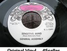 GENERAL ASSEMBLY 'Sensitive Mind + Lovin' Time' EX+ ORIGINAL Northern Soul 45