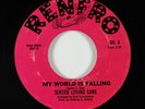 70s Soul 45 - Tender Loving Care - My World Is Falling - Renfro - VG+ mp3