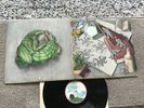 Mott the Hoople - debut LP UK 1969 pink rim palm tree Island