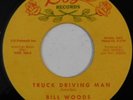 rockabilly 45 BILL WOODS Truck Driving Man ROSE VG HEAR ask me no questions
