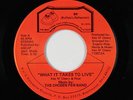 Modern Soul 45 - Chosen Few Band - What It Takes To Live - BR - VG++ mp3