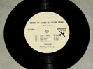 BRIDES OF BLOOD & BLOOD FIEND 1970s double feature movie radio spot set