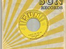 ROCKABILLY - DANE STINIT - ALWAYS ON  THE GO  -HEAR -1966 SLEEVE SUN  402