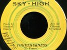 Clinton Fearon - Togetherness JA Sky High 7