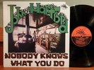 John Hartford NOBODY KNOWS WHAT YOU DO 1976 FLYING FISH - 028 PROMO LP