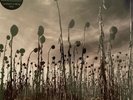 Dead Can Dance - Anastasis(Limited 2x180g Vinyl ), Pias