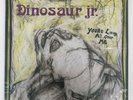 Dinosaur Jr. - You're Living All Over Me [Vinyl LP] SST Pink Transparent