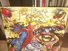 Ceschi Fake Flowers Lp