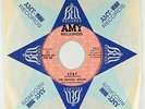 Northern Soul 45 - Virginia Wolves - Stay - Amy - VG+ mp3