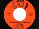 Northern Soul Funk 45 - The Crow - Your Autumn Of Tomorrow - Inner Ear - mp3