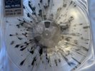 The Beatles-reel To Reel Outtakes-1963-splattered album Picture Pic Disc-limited