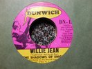Shadows of Knight vg+ 45 Willie Jean / The Behemoth