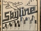 SKYLINE Vinyl LP 1986 RARE Louisiana BAYOU Modern Soul / Funk SIGNED NM