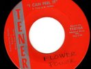 FLORIDA FUZZZZ GARAGE on TENER - NO ARTIST NAME (FLOWER POWER) 1st PRESS Hear