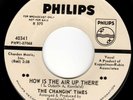 HOW IS THE AIR UP THERE? N.Y. GARAGE FUZZ GARAGE POUNDER - CHANGIN' TIMES - HEAR