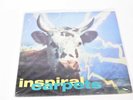 Inspiral Carpets - She Comes In The Fall, VINYL LP