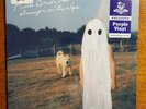 Phoebe Bridgers - Stranger In The Alps (Newbury Comics Exclusive) Only 1000...