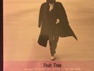 NICK DRAKE Fruit Tree Box Set SEALED USA Hannibal 1986 Producers Copy Promo MIN