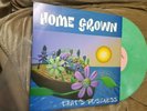 HOME GROWN GREEN BUSINESS LP NOFX BLINK 182 SLICK SHOES UNWRITTEN LAW LAGWAGON