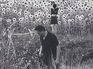 Jesu/Sun Kil Moon - Jesu/Sun Kil Moon Vinyl