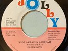 Karen Smith - Wide Awake In A Dream 45 Jolly Jamaica 80s Modern Soul VG+ mp3