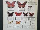 THE JAM - THE BUTTERFLY COLLECTOR - 2XLP UNOFFICIAL LIVE RELEASE- VERY RARE 1980