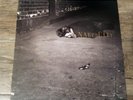 John Zorn - Naked City (LP, Album,VINILE,Elektra Nonesuch 979238-1)