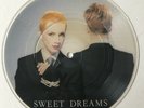 THE EURYTHMICS - Sweet Dreams (Are Made Of This)  7