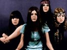 CRADLE - THE HISTORY RSD 2020 AUG 29TH